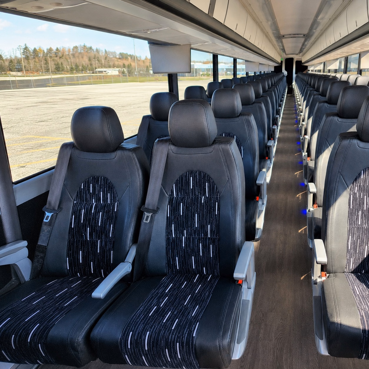 compare buses in minutes not days