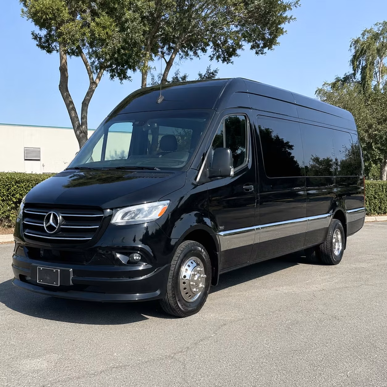sprinter van with driver